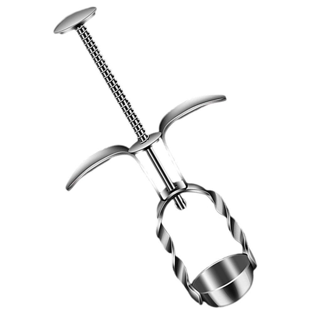 Cherry Pitter Tool - Jujube Cherry Pitter Stainless Steel Fruit