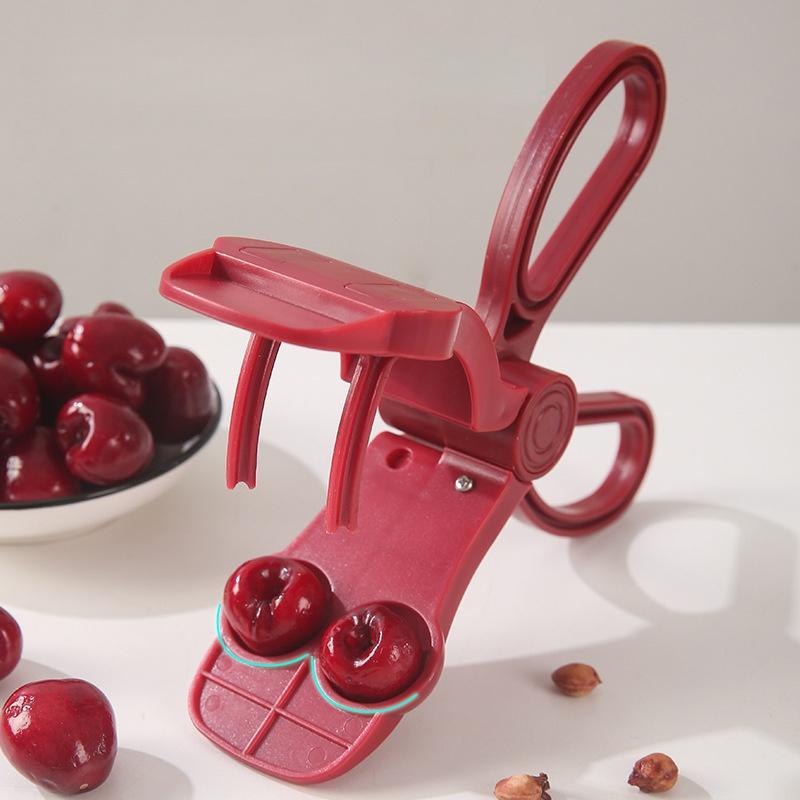 Ergonomic Handle Cherry Pit Re - огляд і ціна Cherry Pitter Tool