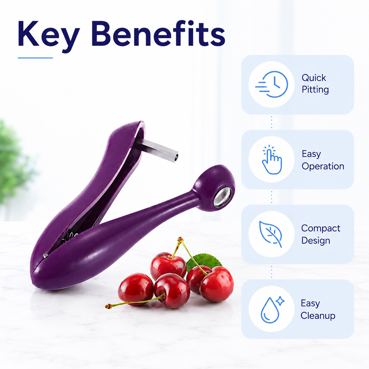 Cherry Kernel Remover Handheld - огляд і ціна Cherry Pitter Tool