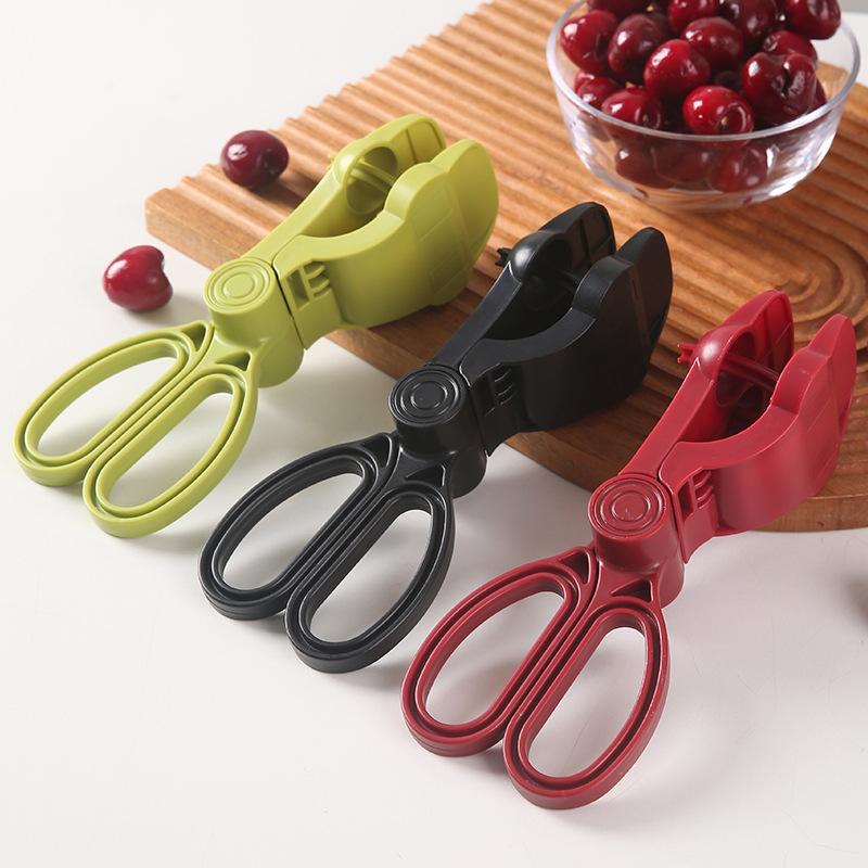 Ergonomic Handle Cherry Pit Re - огляд і ціна Cherry Pitter Tool